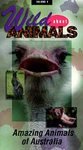 Wild About Animals, Vol. 4: Amazing Animals of Australia by Steve Rotfeld