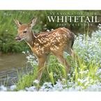 Seasons of the Whitetail 2009 Wall Calendar