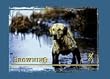 Junior T-Shirt Junior T-Shirt Muddy Dog/Slate XL