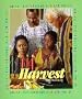World Celebrations & Ceremonies - Harvest