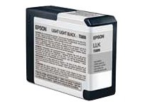 Epson UltraChrome K3 Ink Cartridge (T580900)