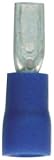 American Terminal E-FDB110-100 16/14-Gauge Economy Vinyl Female Quick Disconnects