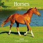 Horses 2009 Mini Wall Calendar