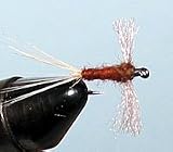 Rusty Spinner Size: 18