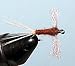 Sporting Goods : Rusty Spinner Size: 18