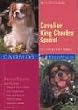 king charles hunde