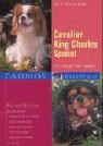 Cavalier King Charles Spaniel: Ein k�niglicher Kumpel