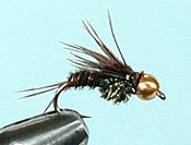 Bead Head Pheasant Tail Size: 14