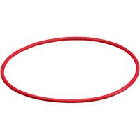 Olympus Silicone O-Ring for the PT-019 Underwater Housing. by Olympus