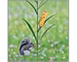 3 Pack of Cornstalk Squirrel Feeder (must order in 9's)