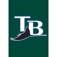 TAMPA BAY DEVIL RAYS GARDEN / CAR WINDOW FLAG