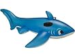Gecko Pool Float