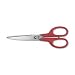 Stainless Steel Student Scissors, 6-1/4in, 3-1/4in Cut, Rt Hand, RD, Dz