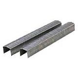 Galvanized Staples, 7/16