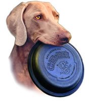 Chewber All In One Dog Frisbee Assorted Colors 8