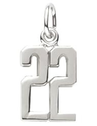 Rembrandt Charms Number 22 Charm