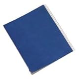 Desk File Sorter, 1-31, 31 Sections, Letter-Size, Blue-RECYCLED (NSN2861724)