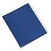 Desk File Sorter, 1-31, 31 Sections, Letter-Size, Blue-RECYCLED (NSN2861724)