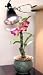 Agrosun© Dayspot Grow Light Kit