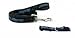 Carolina Panthers Pet Accessories Set - Small (6' Leash, Collar, and ID Tag)