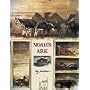 Noah's Ark