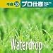 写森プロ仕様 Vol.35 Waterdrop