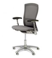 Life Chair Fully Adjustable Charcoal by Knoll