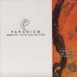 Ambient Hits Collection, Tribute to Hits of Amy Grant