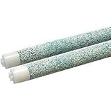 Cement Perch with Shells - 18 in. x 12 in.
