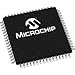 Microchip Technology
