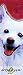 American Eskimo Bookmark