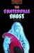 Book The Canterville Ghost. Mit Materialien. Level 2. 700 headwords. (Lernmaterialien)