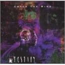 Crack the Mind by  Testify 