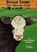Used : Sugar Lump: The Orphan Calf