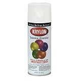 Interior Exterior Paint 12 oz Aerosol Glossy White