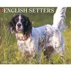 Just English Setters 2009 Wall Calendar