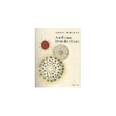 Art Forms from the Ocean: The Radiolarian Prints of Ernst Haeckel