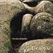 Patrick molard, Deliou