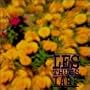 International Anti Boredom Front
