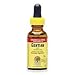 Gentian Root Extract - Promotes Digestion, 1 oz., (Nature s Answer)