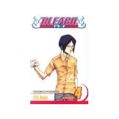 Bleach, Vol. 4: v. 4