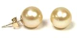 Golden Color South Sea Pearl Earrings (9-9.5mm)