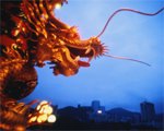 Dragons Blood Incense - 50 Sticks Recommended! *PRICE INC.P&P*