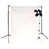 Savage Background Economy Photo Studio Kit with 1 S100 Strobe, Backlight Stand, Background Stand & 53 White Seamless Paper.