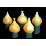 Unwins Exhibiton 7 Pound Onion 50 Seeds - B000V3W694