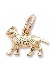 Cat Charm
