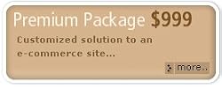 WebStore Starter Kit - Premium