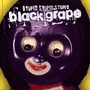 Stupid Stupid Stupid [CASSETTE]