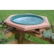 Looker Mini Deck Green Bird Bath by Looker Inc