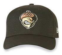 Minor League Baseball Cap - Visalia Oaks Batting Practice Cap by New Era